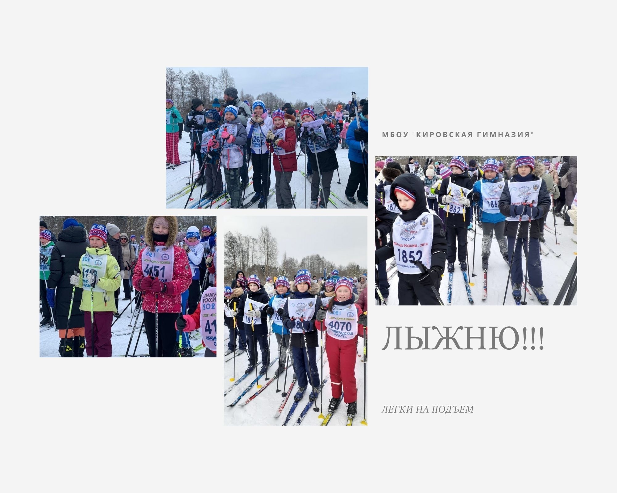 Изображение 28