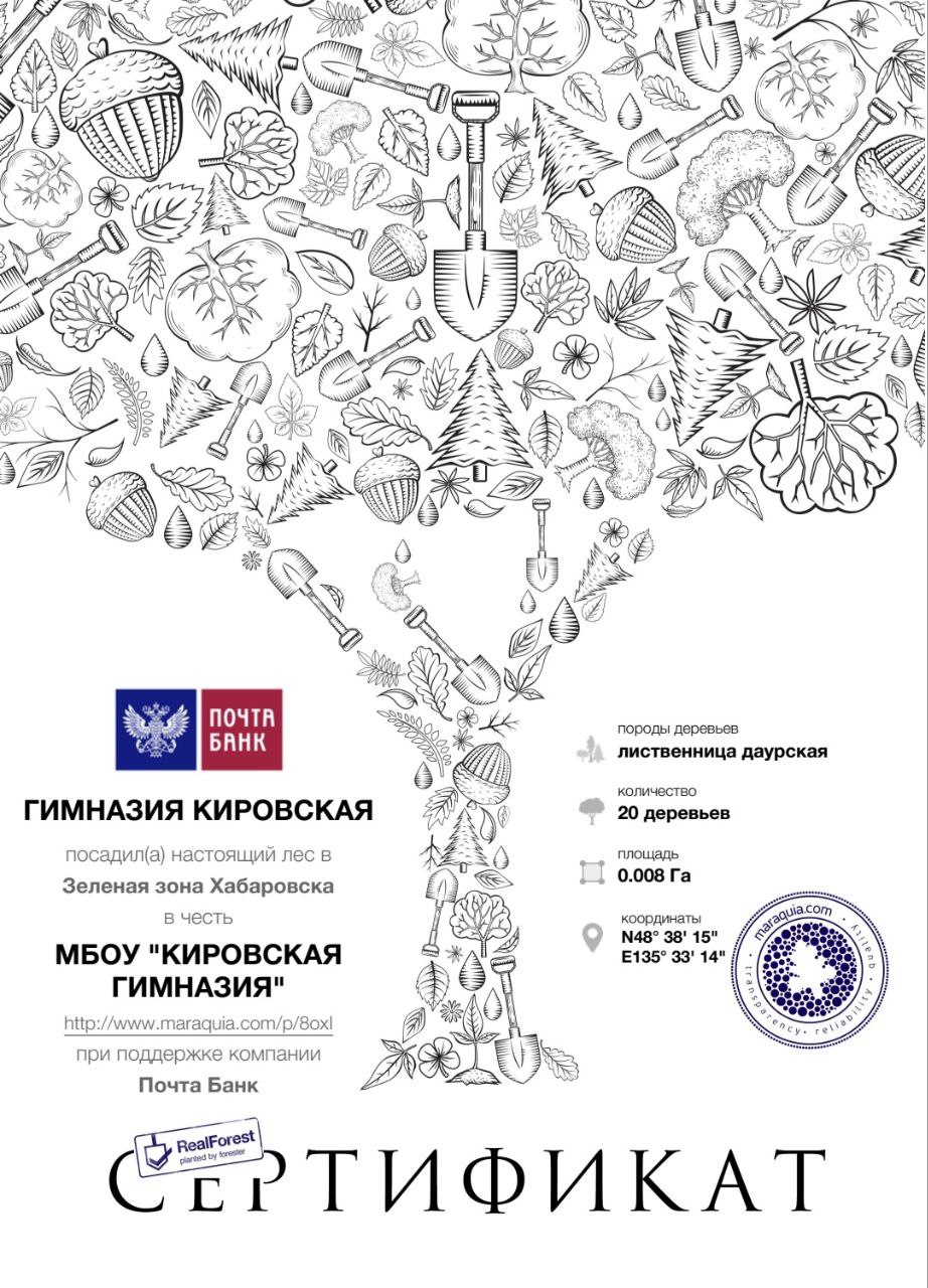 Изображения.